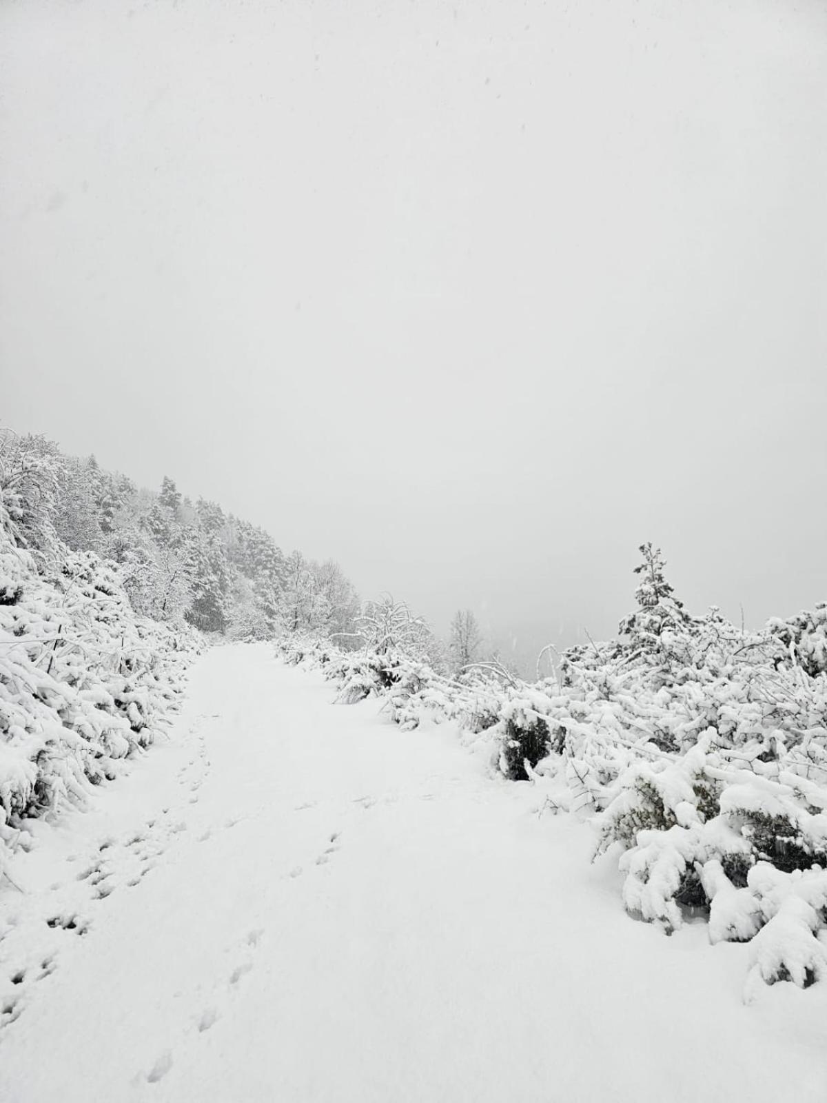 Saldes Pedraforca Lägenhet Exteriör bild
